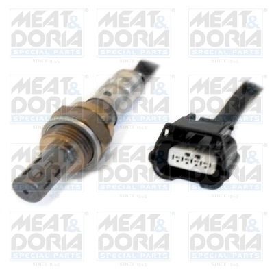 Oxygen Sensor